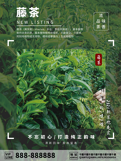 藤茶新品上市品味茶香宣传海报