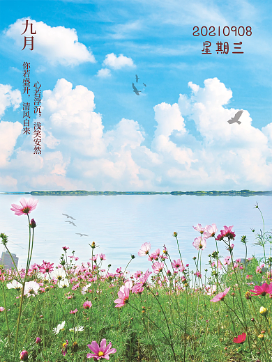 九月花与云小清新海报