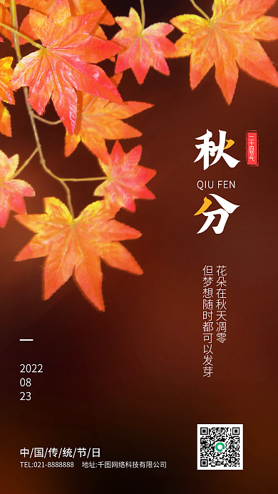 传统节日二十四节气秋分枫叶落叶思念的季节