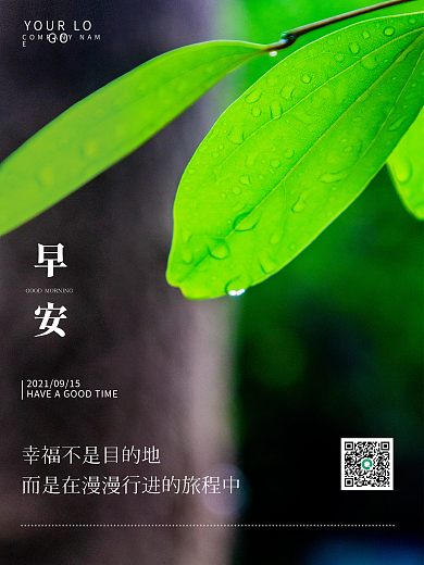小清新绿植摄影早安海报心语心情朋友圈日签