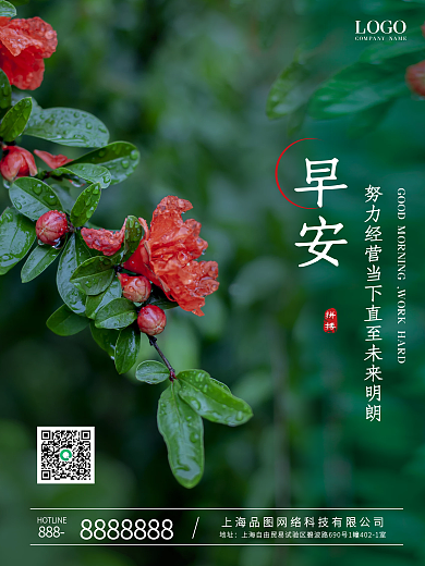 简约大气花卉摄影风早安海报正能量励志日签