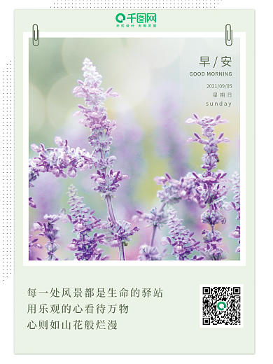 小清新花卉摄影早安海报正能量暖心语录日签