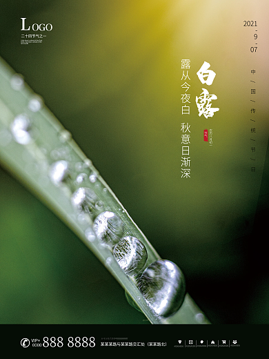 白露绿叶水珠二十四节气海报
