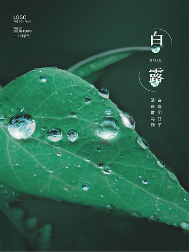 简约24节气白露节气摄影图海报