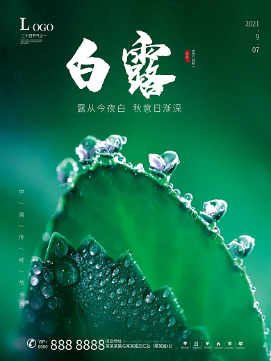 白露水珠二十四节气图