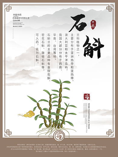 中国风中医人参石斛枸杞枇杷宣传海报
