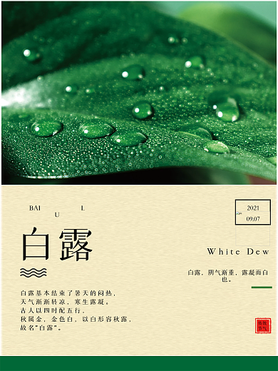 中国传统二十四节气绿色白露简约海报