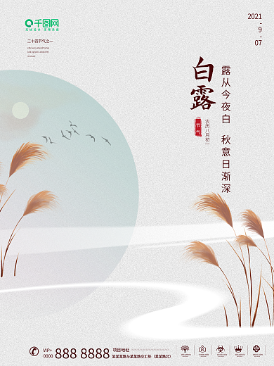 白露寒露芦苇风景节气海报