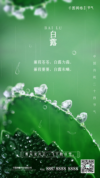 白露节气绿色露珠叶子环保清新简约手机海报