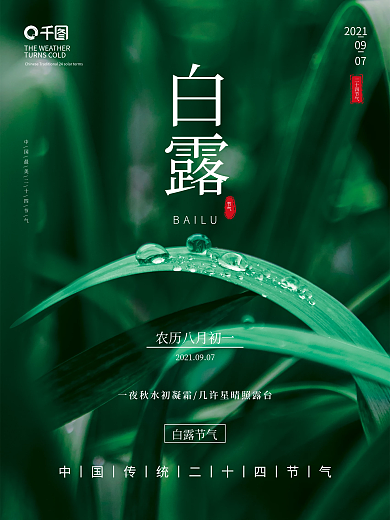 白露二十四节气摄影图库海报