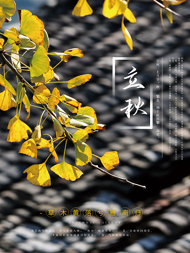 中国风二十四节气立秋秋天节日海报广告图