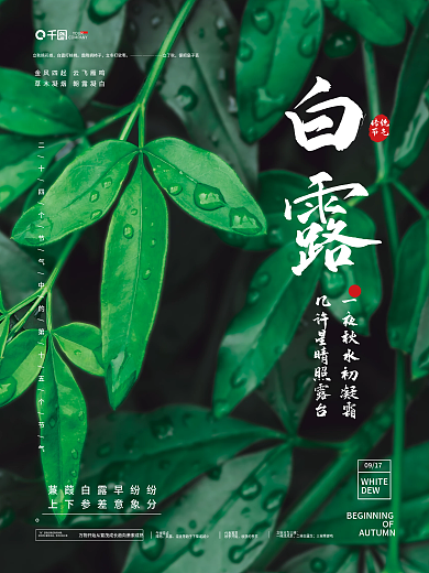 简约白露节气摄影图宣传海报