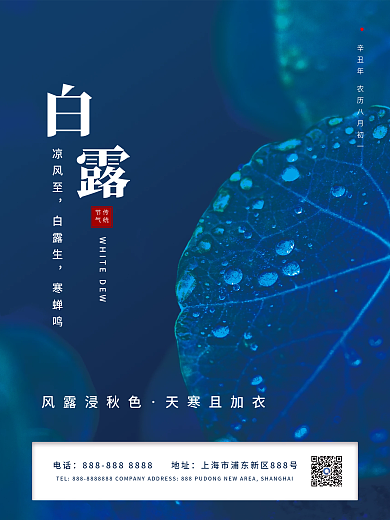 24节气简约白露霜降节气海报