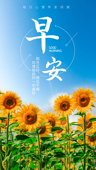 清新简约向日葵蓝天早安图海报