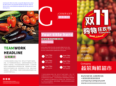 双11线下商场促销三折页