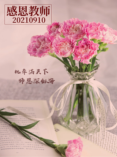教师节海报粉色康乃馨