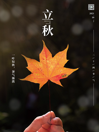 简约原创立秋节气宣传海报