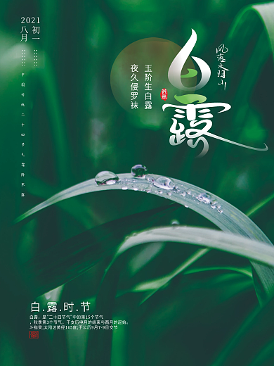 简约创意绿色白露海报