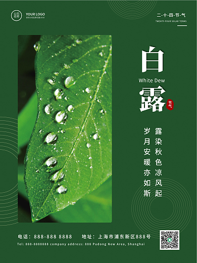 中国风简约白露霜降秋分节气海报