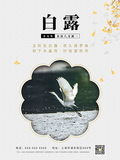 白露霜降节气祝福简约白鹭海报