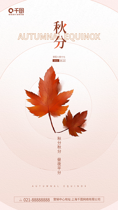秋分节气枫叶插画手机海报