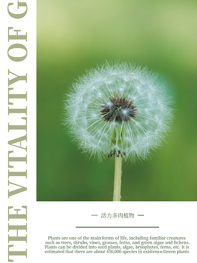 小清新简约文艺活力植物海报设计
