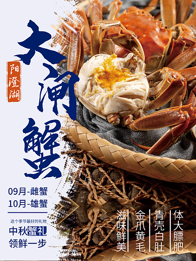 中秋蟹礼生鲜阳澄湖大闸蟹海报