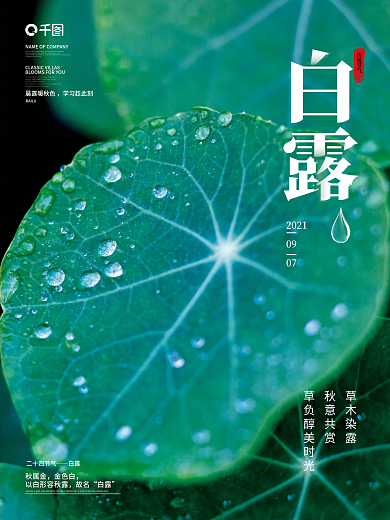 白露露水寒露雨水谷雨简约节气海报