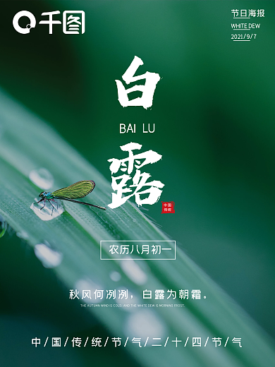 白露二十四节气摄影图节日海报宣传海报