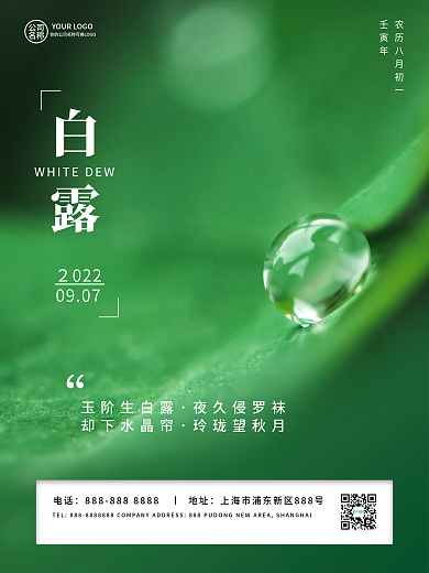 白露霜降二十四节气简约扁平海报