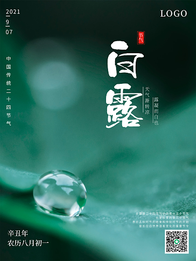 简约白露节气摄影图海报