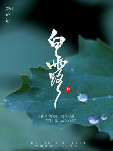 二十四节气简约白露海报