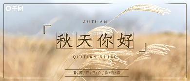秋天你好芦苇摄影图简约清新微信公众号封面