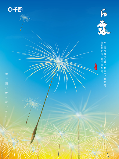 简约大气的白露海报