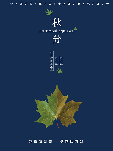 中国传统二十四节气之秋分海报