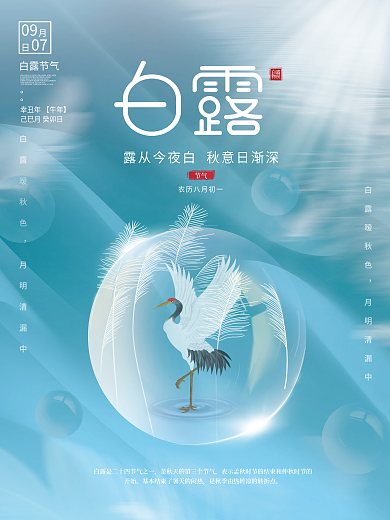简约留白意境白露节气海报