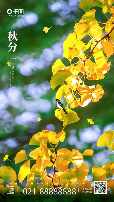 秋分节气银杏叶风景简约手机海报