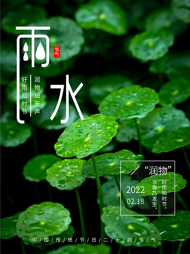 绿色植物水滴雨水中国二十四节气节日海报