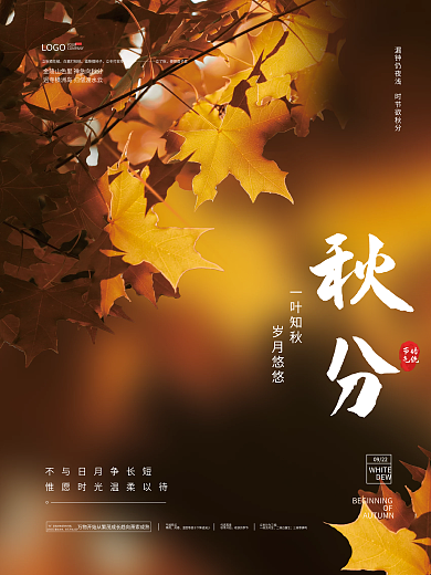 创意秋分摄影图海报