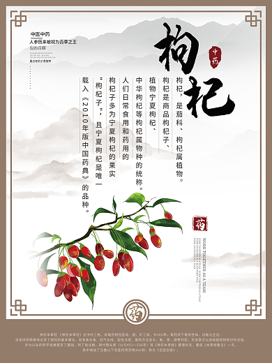 中国风中医人参石斛枸杞枇杷宣传海报