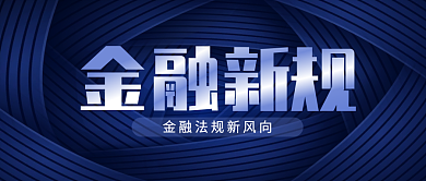 蓝色高端端庄大气金融新规