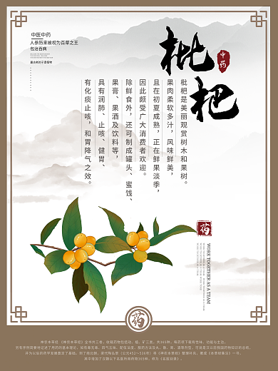 中国风中医人参石斛枸杞枇杷宣传海报