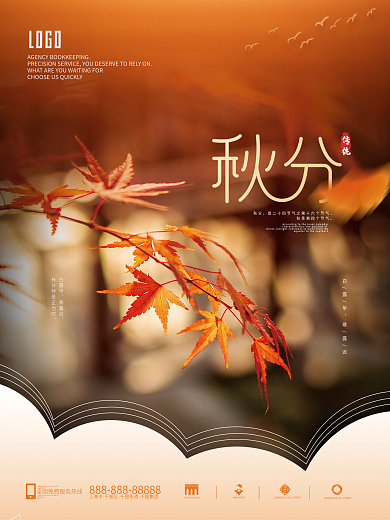 简约唯美创意摄影图秋分传统二十四节气海报