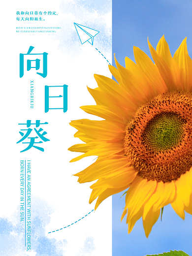 我和向日葵有个约定每天向阳而生