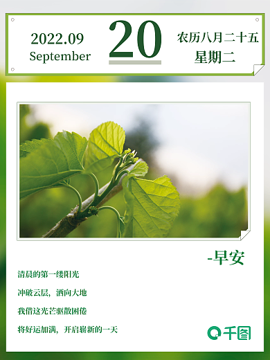 清新绿植图文摄影风早安海报朋友圈励志日签