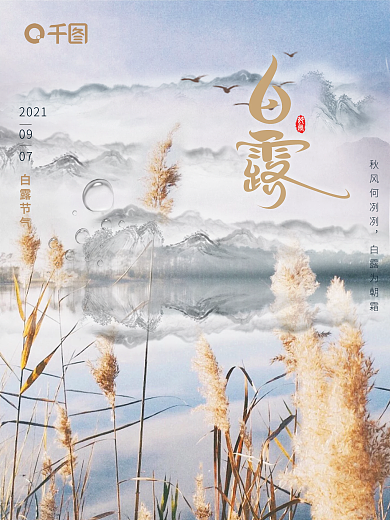 白露节气创意宣传日中国风节气简约秋