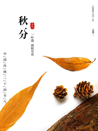 秋分极简海报24节气