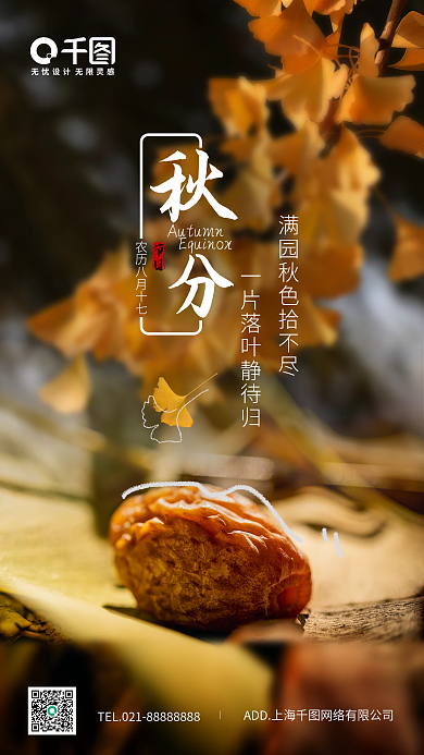 小清新简约枫叶秋分海报