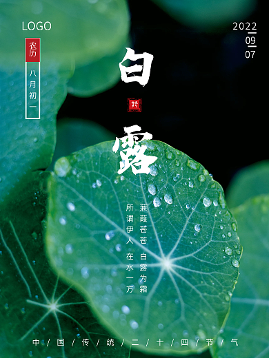 清新简约大气绿色白露节气海报