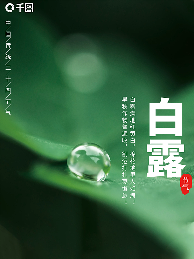 二十四节气白露海报简约风留白传统节日宣传
